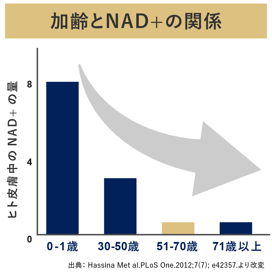 加齢とともに減少するグラフ