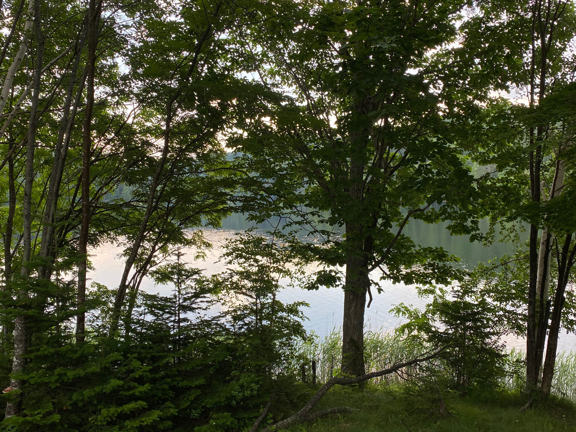 北海道の旅